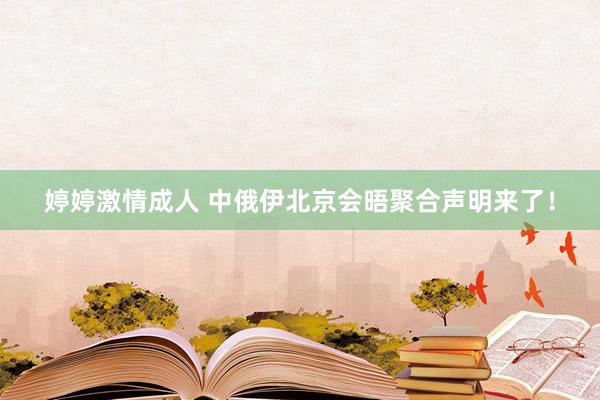 婷婷激情成人 中俄伊北京会晤聚合声明来了！