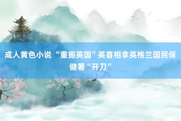 成人黄色小说 “重振英国”　英首相拿英格兰国民保健署“开刀”