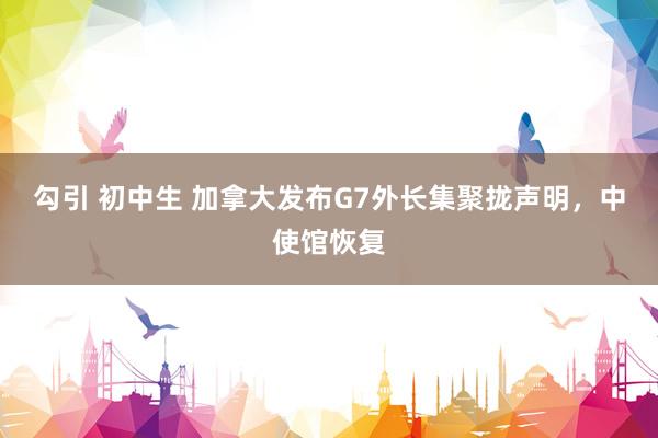 勾引 初中生 加拿大发布G7外长集聚拢声明，中使馆恢复