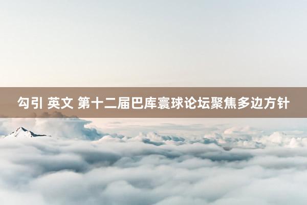 勾引 英文 第十二届巴库寰球论坛聚焦多边方针