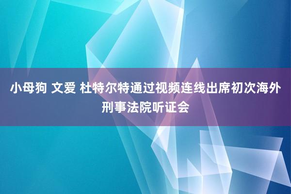 小母狗 文爱 杜特尔特通过视频连线出席初次海外刑事法院听证会