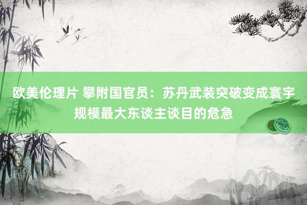 欧美伦理片 攀附国官员：苏丹武装突破变成寰宇规模最大东谈主谈目的危急