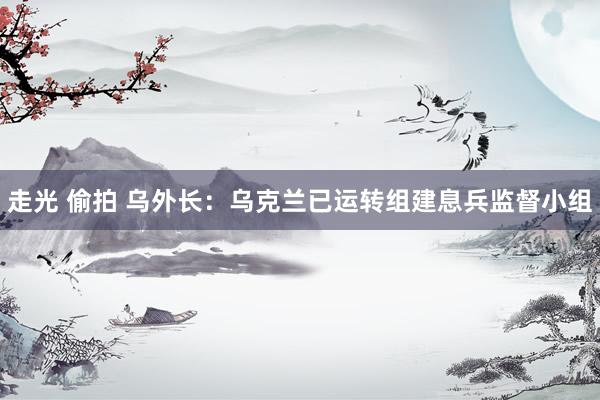 走光 偷拍 乌外长：乌克兰已运转组建息兵监督小组