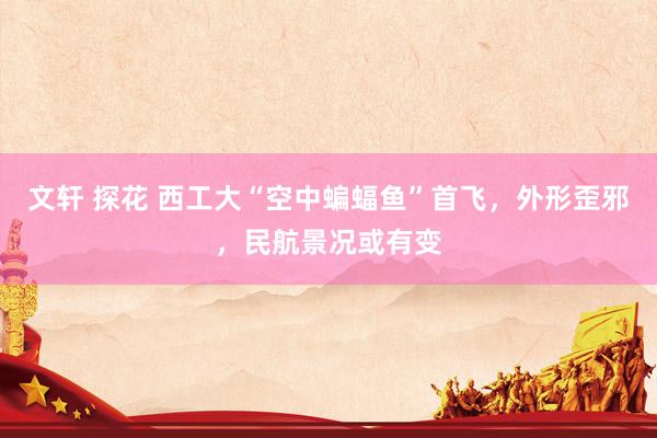 文轩 探花 西工大“空中蝙蝠鱼”首飞，外形歪邪，民航景况或有变
