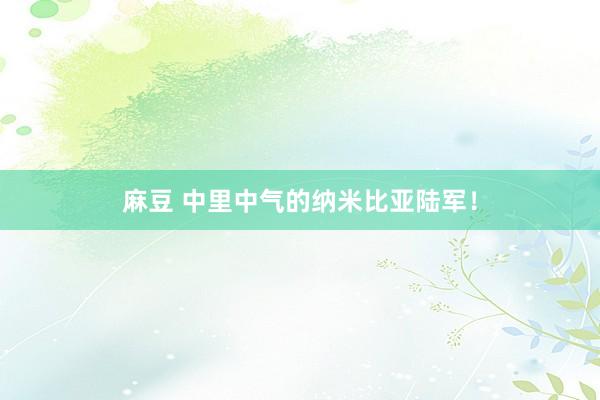 麻豆 中里中气的纳米比亚陆军！