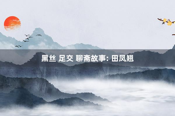 黑丝 足交 聊斋故事: 田凤翘