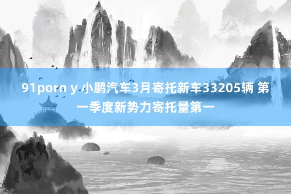 91porn y 小鹏汽车3月寄托新车33205辆 第一季度新势力寄托量第一
