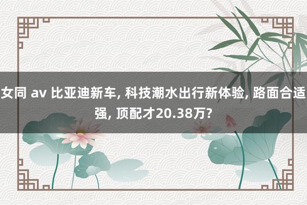女同 av 比亚迪新车, 科技潮水出行新体验, 路面合适强, 顶配才20.38万?