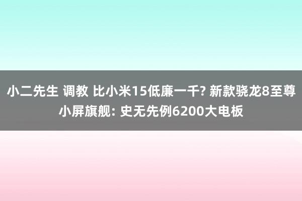 小二先生 调教 比小米15低廉一千? 新款骁龙8至尊小屏旗舰: 史无先例6200大电板