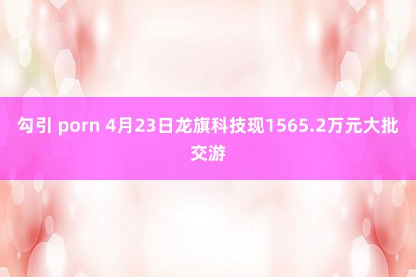 勾引 porn 4月23日龙旗科技现1565.2万元大批交游