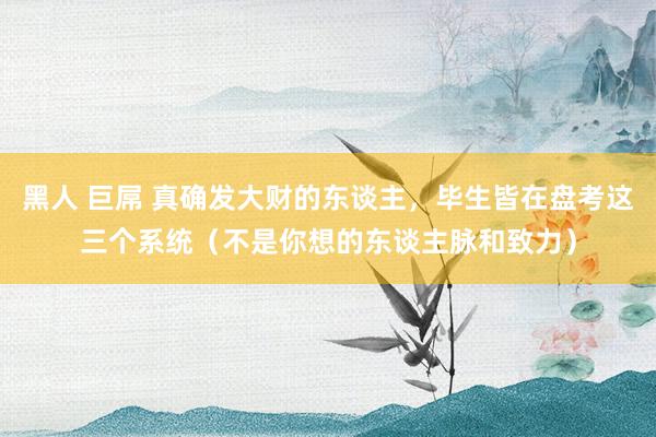 黑人 巨屌 真确发大财的东谈主，毕生皆在盘考这三个系统（不是你想的东谈主脉和致力）