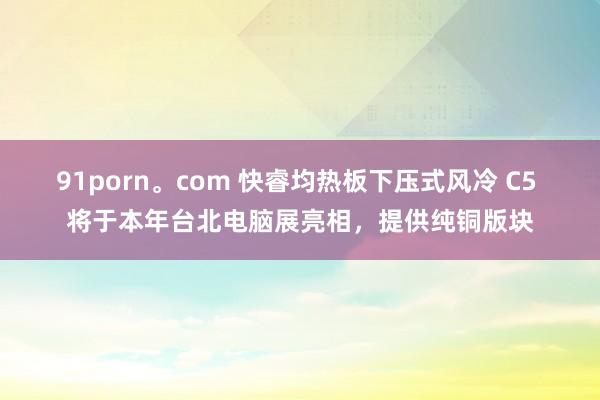 91porn。com 快睿均热板下压式风冷 C5 将于本年台北电脑展亮相，提供纯铜版块